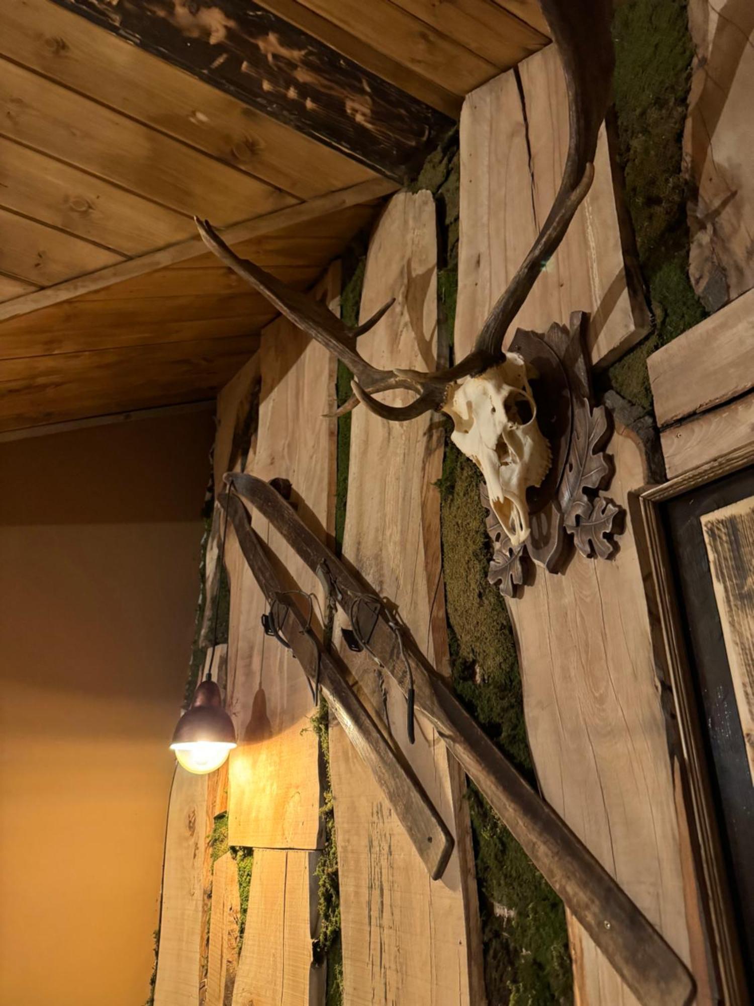 The Forest Villa Боровец Экстерьер фото