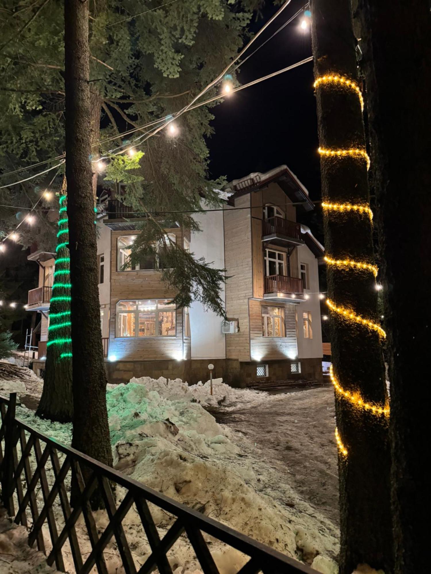 The Forest Villa Боровец Экстерьер фото