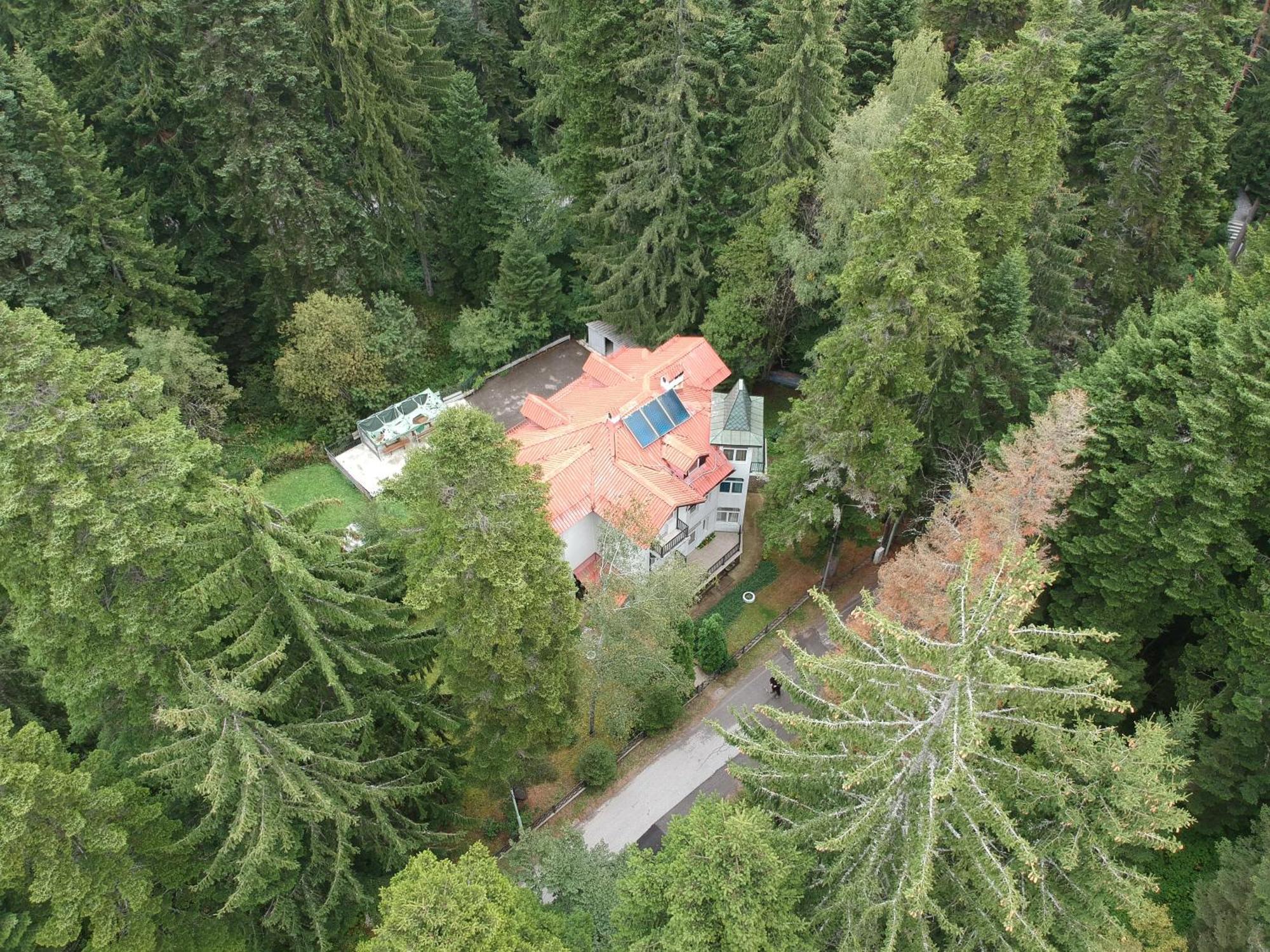 The Forest Villa Боровец Экстерьер фото