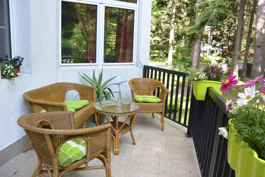 The Forest Villa Боровец Экстерьер фото